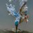 LynneCl87503604