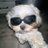 Flor__Molina__