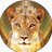 gaslitlioness