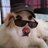 xPISTOLx_cdn