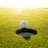 Golf13Pcr
