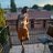 Real_lebzino1