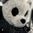 Krogbear30