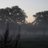 cheshire_ca9