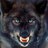 WolfieXa