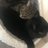 MrsByrne_wesham
