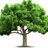 lLikeTrees