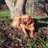 phil_woods