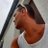 pedro50686501
