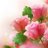 Sushil33139936