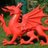 welshsanka