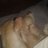 LuisiTo39RK