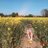 MiaMcHugh_