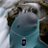 DolphinMiharu