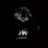 HOLLYWOOD_8484