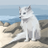 witt_jan30686