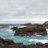 _coastalgrove