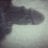 Bertin06810329