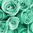 ForestsFlowers