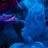rds_1711