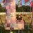 LovesGlasto