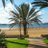 sturgess_steve