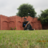 Neeleshpandya1