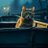 Clare_75_