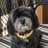 kirsty_losier