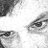 Writer1971