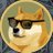 dogecommunity_