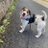 cathie247