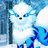Lynx_Eye