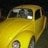 yellowbeetle74