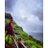 Shubh_singh916