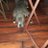 EricEva76492670