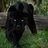 Luisr_74