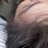 Alex_AlamillaC