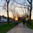 gooner_777