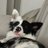 shanaya_alc