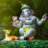 dilip_ayare