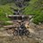 agarwalla_sunit