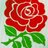 Craig_hatchard