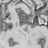 Shield_Writer