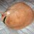 GaryM03062