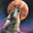Soulneed_wolf