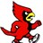 CardinalLacey