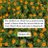 SONU_SONU004