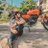 kishore_theri