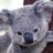 MicheleS_Aus